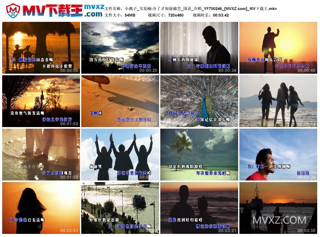 小燕子_韦发刚-分了才知很痛苦_国语_合唱_YF700246